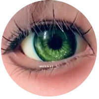 28.webp